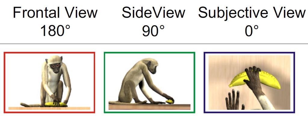 KAPITOLA 2. BIOLOGICKÁ IN PIRÁCIA 9 Obr. 2.3: Tri rôzne perspektívy z ktorých opica sledovala daný dej. Prevzaté z (Caggiano et al., 2011).