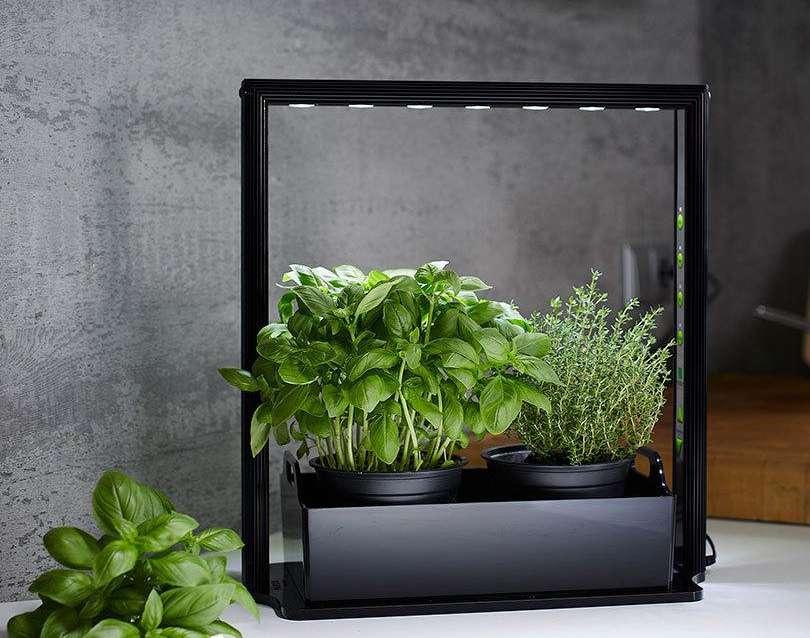 Parus mini farm M10 Mini farm je miniatúrna záhradka pre malé priestory je v hodná aj na kuchynské pracovné dosky. Ľahko ovládateľný panel umožňuje nastaviť intenzitu svetla podľa druhu rastliny.