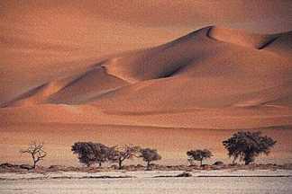 Život v púšti Pod pojmom púšť rozumieme krajinnú formu, resp. región, kde ročný úhrn zrážok nepresahuje 250 mm. Púšte tvoria tretinu zemského povrchu.