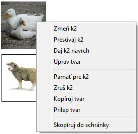 Ľavým tlačidlom myši klikneme na korytnačku k2 (k3, k4, k5), zobrazí sa ponuka, z ktorej vyberieme Zmeň k2. Zobrazí sa rodný list korytnačky.