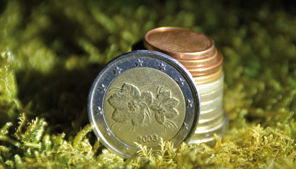 Fínsko sa inšpirovalo svojimi pôvodnými mincami a pre národné strany euromincí vybralo tri motívy. Na minciach 1, 2, 5, 10, 20 a 50 centov je zobrazený fínsky heraldický lev. Objavil sa v 16.