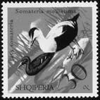 Svet vtákov slávik tmavý Bielorusko 2007, Miestna fauna (4) 40,- Bielorusko 2007, Miestna fauna, Bl 2 x 4 +k 90,- Bulharsko