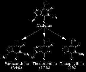 To vedie k rýchlejšiemu zvýšeniu koncentrácie kofeínu v plazme, ako aj k rýchlejšiemu nástupu biologických účinkov.