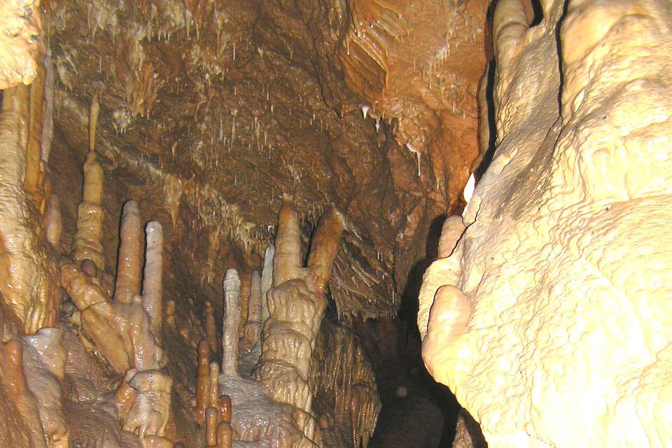 13. Jaskyňa na obrázku sa nachádza v CHKO Malé Karpaty, bola vytvorená v slienitých vápencoch, vznikla