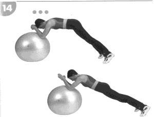 14. Torzná stabilita: tlačte na loptu lakťami a tlačte panvu dole, až je telo