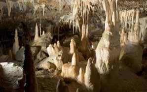 Na Liptowie są dostępne 4 jaskinie i znajduje się tutaj najdłuższy system jaskiniowy (o długości ponad 41 km) w Europie Środkowej często nazywany także Liptowski kras.