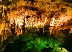Važecká jaskyňa vás uchváti kvapľovou výzdobou, pozoruhodnými nálezmi kostí jaskynných medveďov, ako aj vzácnou jaskynnou faunou.
