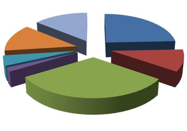 V rámci podporných služieb vyjadrili respondenti najväčší záujem o poskytovanie sociálnej služby v dennom centre 32%, 24% respondentov sa zaujíma o odľahčovaciu službu a tretiu skupinu tvoria