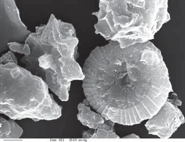 Výchova a vzdelávanie Obr. 4 Obraz povrchu mikrofosílie (vápnitý nanoplanktón) vytvorený pomocou sekundárnych elektrónov (SEI) Obr. 6 Katódoluniscenčný obraz prírastkových zón kremeňa Obr.