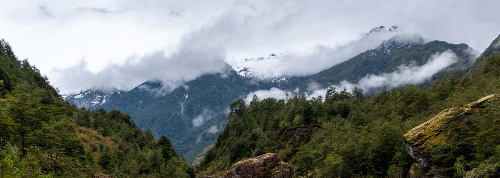CESTOVANIE CESTOVANIE P A T A G Ó N I A Autor: Kristína Mazúrová / @kristina_loves_october Stanovanie v Torres del Paine Zachytenie 24 hodín z 5 dní, ktoré sme v tomto fascinujúcom národnom parku