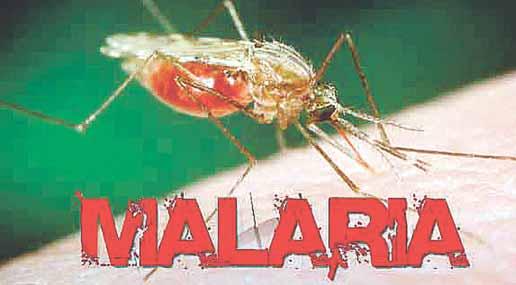 18 ZO SVETA, Z DOMOVA štvrtok 19. 4. 2018 MALÝ, ALE VEĽKÝ STRAŠIAK Výskyt malárie vo svete narastá.