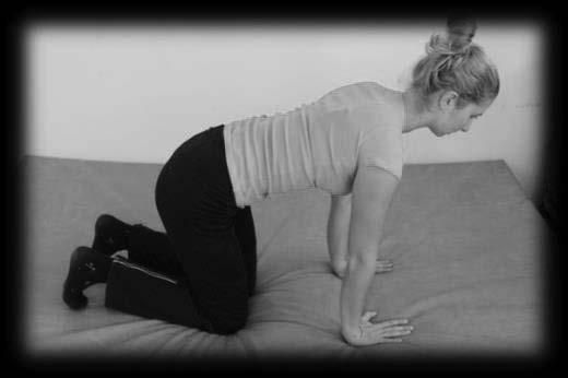 skupín: sedací sval, dvojhlavý sval stehna, svaly