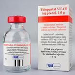 Thiopental (4-6mg/kg) Propofol (2-2,8mg/kg) Ketamin (1-1,5mg/kg)