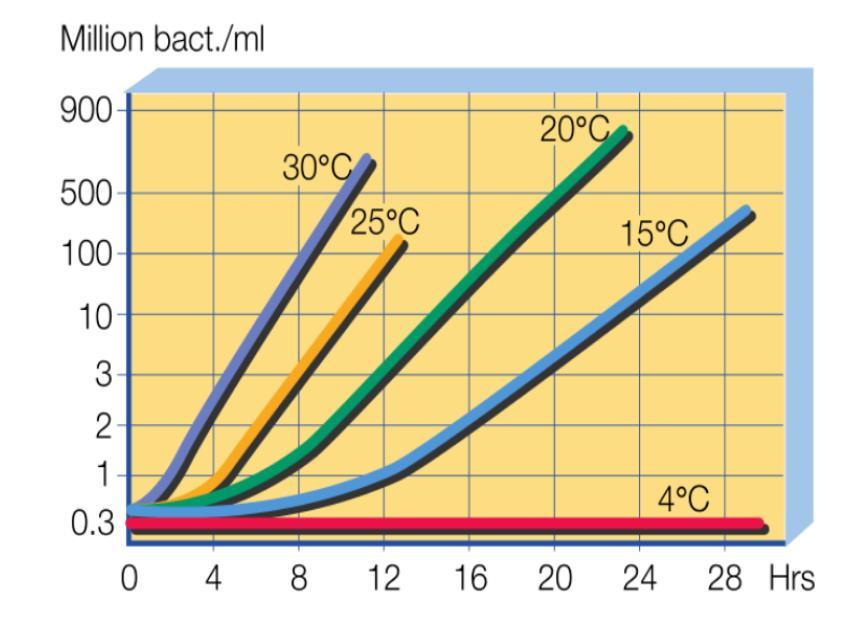 Obr. 1 Rýchlosť vývoja baktérií pri rôznych teplotách 1.2.