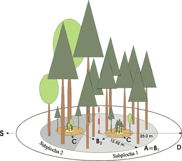s nezaokrúhlenou výmerou plochy. Ako pomôcka môže poslúžiť aj odhadovaný rozstup stromov (pri pravidelných rozstupoch). Tabuľka 3.