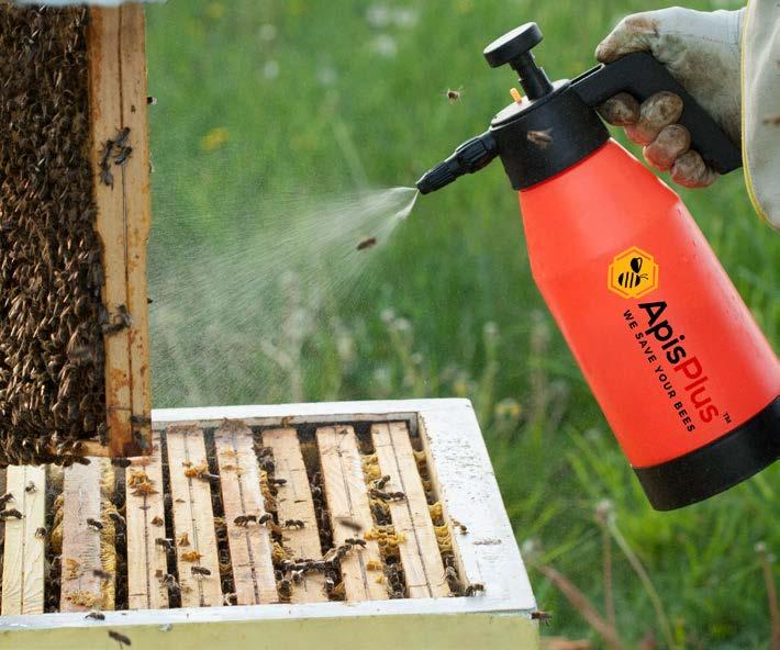 Zmes aplikujeme do uličiek alebo rovnomerne striekajme na rámiky osadené včielkami. Postrek môžeme vykonať aj obyčajným ručným postrekovačom.