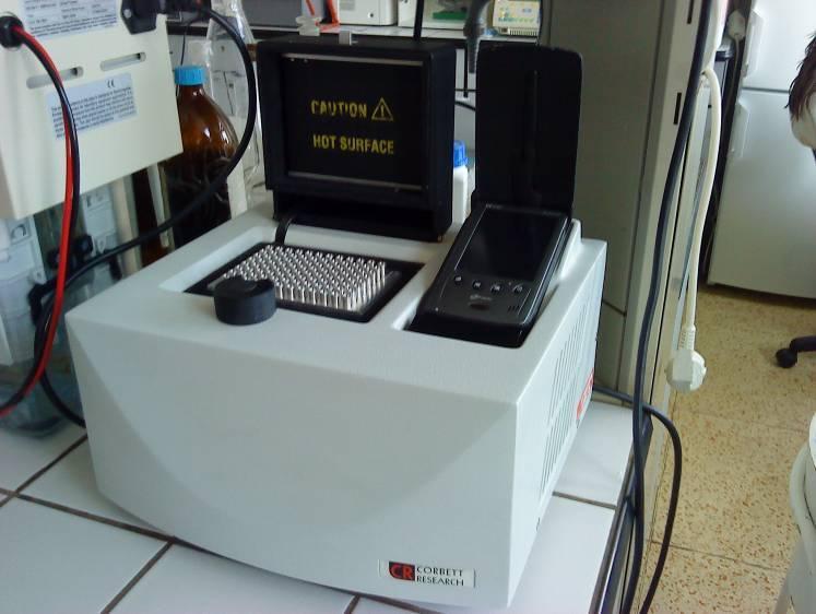 produkty druhého amplifikačného kroku nested PCR.