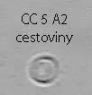 Cystofilobasidium capitatum CY 10-1-1,