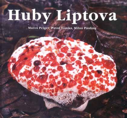 tria liptovských lokálpatriotov v zložení Maroš Peiger, Pavol Tomka a Milan Paulíny nazvaná jednoducho Huby Liptova.