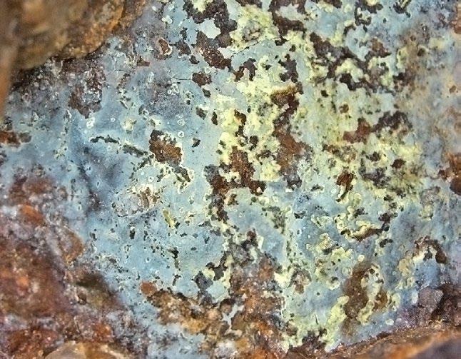 Bull Mineral Petrolog 25, 2, 2017. ISSN 2570-7337 (print); 2570-7345 (online) 163 U-Cu mineralizácia sa nachádza v permskom špaňodolinskom súvrství veporika (Vozárová, Vozár 1988).