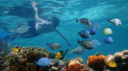 8.deň 21.2.2020 PLAVBA V KARIBIKU Užívajte si plavbu na nádhernej výletnej lodi v Karibiku, lodi plnej bazénov, reštaurácii a zábavy. 9.deň 22.2.2020 OCEAN CAY, SÚKROMNÝ OSTROV MSC Objavte našu novú a exkluzívnu bahamskú destináciu: Ocean Cay MSC Marine Reserve.