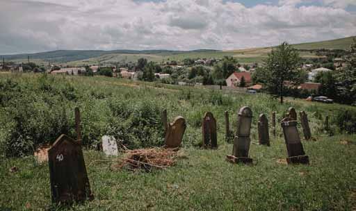 Židovský cintorín v Raslaviciach (ZumZum Photography) Kirkut - cmentarz żydowski w Raslavicach (ZumZum Photography) vybudovala zázemie, cintorín, modlitebňu, neskôr synagógu (koncom 19.