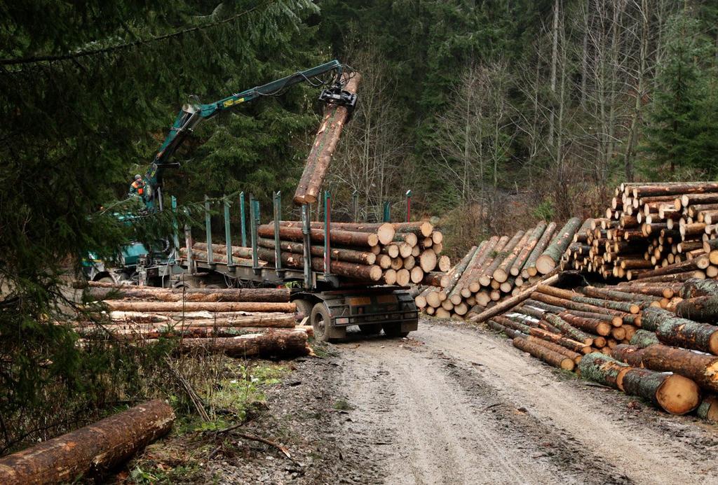 mieste Bitcoin sa po prudkom raste dostal na svoje dvojmesačné maximum Ťažba dreva na Slovensku Lesy tvoria významnú a nenahraditeľnú súčasť životného prostredia.