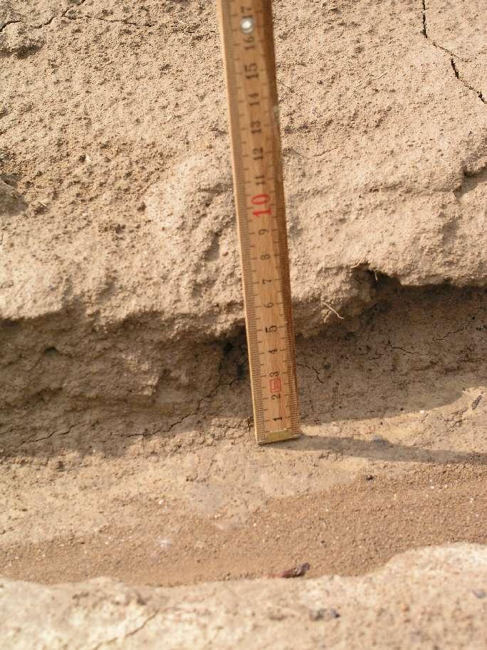 F miestach V sumárna prietočná plocha eróznych rýh na jednotlivých meracích objem eróznych rýh na pozorovaných plochách Merné miesto (MM) Plocha MM [m2] Poče t rýh Dĺžka rýh [m] F [m 2 ] V [m 3.