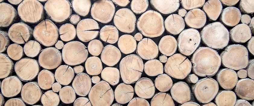 Bisolid PBA ALFA SPLYŇOVACÍ KOTOL NA DREVO PBA ALFA Vysoko efektívny splyňovací kotol na drevo, určený pre ekonomické a ekologické vykurovanie stredne veľkých a veľkých priestorov.