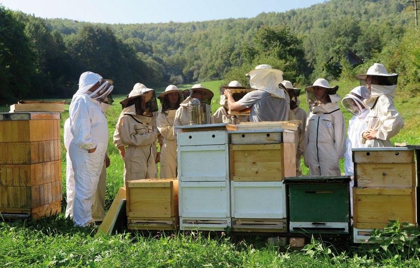 Plyšová kocka Projekt Včelí kraj Tohtoročným laureátom ceny Baumit Spoznajte fascinujúci život včiel z blízka Projekt Včelí kraj vznikol v roku 2013 a je založený na vyše Plyšová kocka 2019 sa stalo