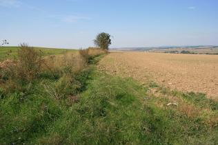 vegetáciu a sprístupňovala poľnohospodárske pozemky v lokalite Gaškovo.