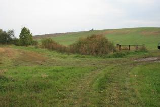 PC-20 Poľná cesta existujúca nespevnená zatrávnená je za mostom M4 (foto 115) sprístupnená cez PC-19 a ide popri nelesnej drevinovej vegetácii, kde sprístupňuje poľnohospodárske pozemky v lokalite