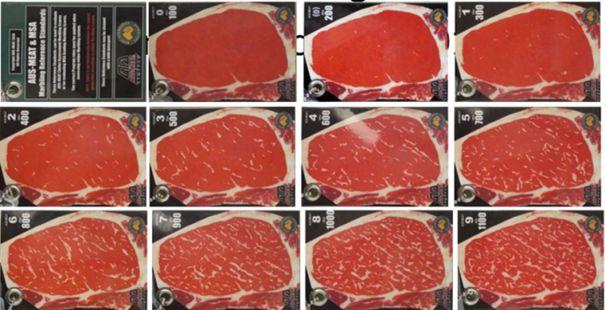 Obrázok 1 Opracované jahňacie mäso (Bidfood, 2016) Stupeň mramorovania jahňacieho mäsa je pomerne nízky (obr.