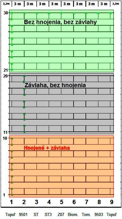 Obrázok 10: Schematické znázornenie výsadby testovacej plochy Hažín 2015 Rozmery testovacej plochy: dĺžka x šírka (96 m x 28,40 m), spon sadeníc 3 m x 3 m 1. Topoľ šľachtený (Populus hybrid AF8) 2.