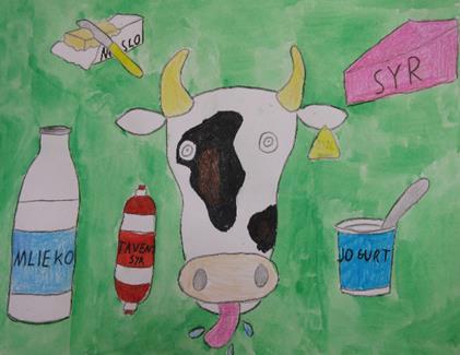 Mliečny sen... Na začiatku školského roka sme sa spolu s našou triedou zúčastnili exkurzie na agrodružstve v neďalekej obci Čierne nad Topľou. Vedúci družstva mám ukázal maštale, kde sa kravy chovajú.
