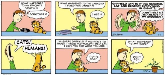 Strana4 Jon: Čo sa stalo mojej obľúbenej J: Čo sa stalo s lasagnami, ktoré J: Garfield, prečo musíš škriabať, platni?! som pripravil na večeru?! jesť a ničiť všetko, čo vidíš?