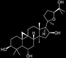 Cygloestragenolom s dennou dávkou (2 kapsuly 20 mg / deň) Pre ľudí nad 40 rokov alebo pre osoby, ktoré sú vystavené zvýšenému stresu