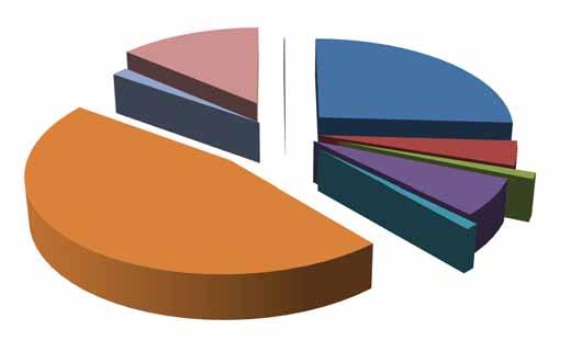 6 Získané prostriedky z DMP na ústavoch SjF STU a podiel v % za rok 2011 483 980 Získané prostriedky z domácich a zahraničných projektov DMP - Ústavy SjF za rok