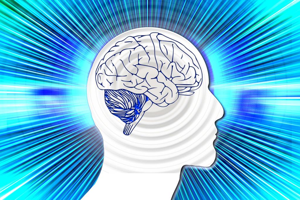 Spoznajte najnovšie výskumy neurovedy o fungovaní ľudského mozgu v službách manažérov MOZOG RIADI NÁŠ ŽIVOT.