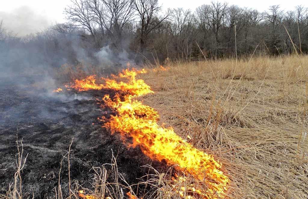 Spaľovanie horľavých látok na voľnom priestranstve a vypaľovanie porastov bylín, kríkov a stromov. Viackrát do roka sa niektorí vlastníci pozemkov snažia zbaviť nechceného odpadu.