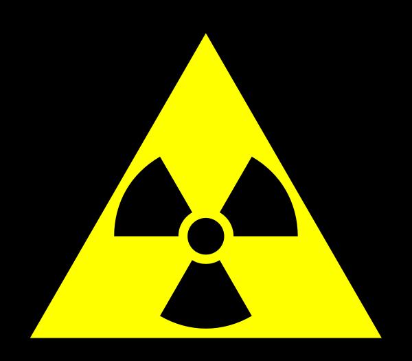 Rádioaktivita húb Kumulácia rádioaktívnych