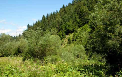 dolín, kde je dostatočná šírka na príbrežný rast tzv. úzkolistých vŕb ako Salix eleagnos, Salix viminalis, a pod., spolu s vhodnými vlhkostnými pomermi. už vyhlásenými územiami európskeho významu.