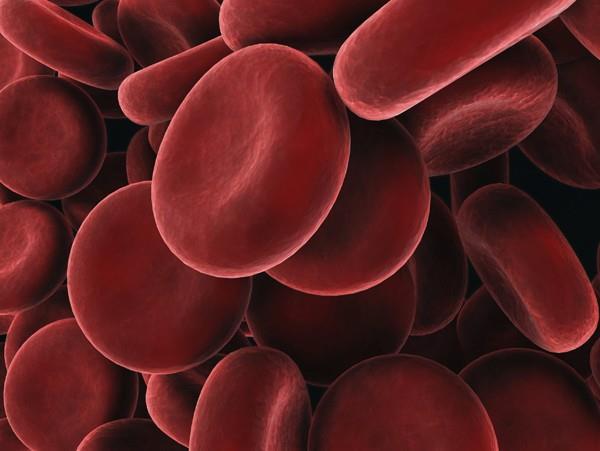 S2. M1. Krv Úvod Celkový objem krvi v ľudskom tele je 5 až 6 litrov (70-80 ml na kg telesnej hmotnosti), čo predstavuje asi 8 % celkovej telesnej hmotnosti.