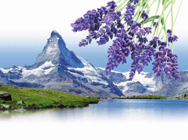 EvoPoreHRC, Avent O 2 švajčiarska kvalita SWISS comfort 7 rokov do 130 kg 22cm Lavender poťah LEVANDUĽA prešitý s dutým 300 g/m 2 prírodná pena AventO2 ; v strede komfortná mäkčená pena NIGHTFLY T3;