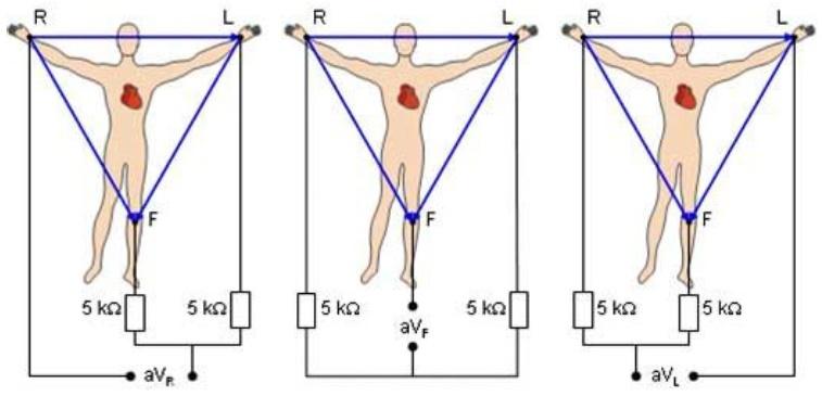2.1 Bipolárne Einthovenove zvody (I, II, III) Bipolárne Einthovenove zvody merajú rozdiely potenciálov medzi jednotlivými vrcholmi trojuholníka (Obrázok č. 2.2).