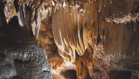 Jaskyniari zo Speleoklubu Trnava spolu s obcou Smolenice a partnerskými organizáciami pripravili pri tejto príležitosti zaujímavé podujatie Driny 1929-2019, ktoré sa uskutoční 28. septembra o 10.