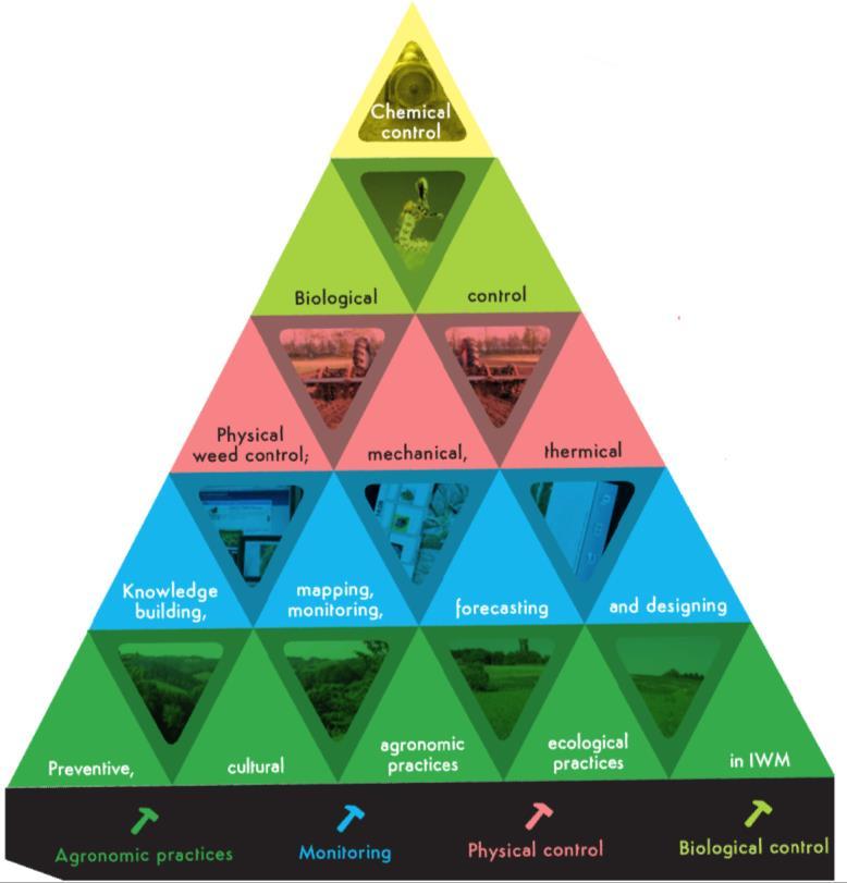 Integrovaný manažment burín LIEBMAN a GALLANDT (1997) popisujú pyramídu integrovaného manažmentu burín, kde každá vrstva poskytuje zoznam metód, ktoré sa môžu použiť na ničenie buriny a kde sa