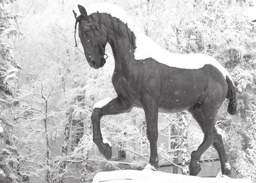 Študentský časopis sa inšpiroval menom koňa Socha koňa s menom Ardo, je dominantou centrálnej oddychovej zóny areálu Univerzity veterinárskeho lekárstva a farmácie v Košiciach, na Komenského 73.