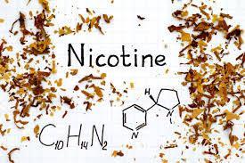 NIKOTÍN A ŠPORT NIKOTÍN Nikotín asi všetci poznáme akú tú látku v cigaretách, ktorá spôsobuje vznik závislosti.