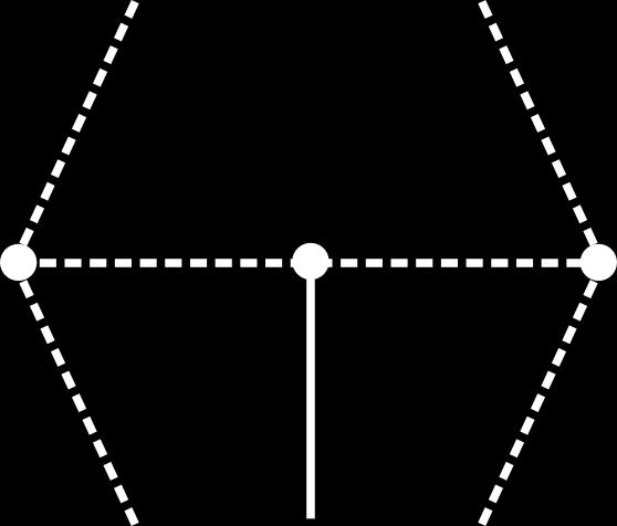 11: Prvý Blanušov snark je najmenší snark obsahujúci ibe nepetersenovský klaster a zároveň aj najmenší snark, ktorého všetky vrcholy sú v nepetersenovskom klastri 4.